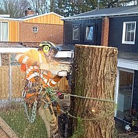 Afbreken bomen / Werken op sporen.